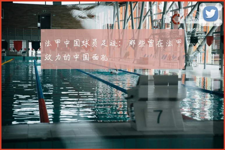 法甲中国球员足迹：那些曾在法甲效力的中国面孔