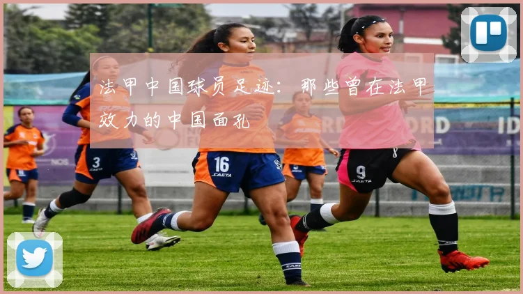 法甲中国球员足迹：那些曾在法甲效力的中国面孔