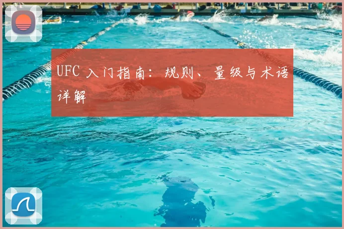 UFC 入门指南:规则、量级与术语详解