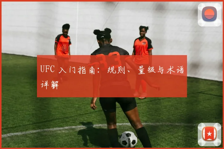 UFC 入门指南：规则、量级与术语详解