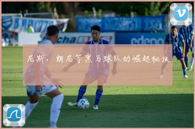 尼斯、朗尼等黑马球队的崛起秘诀