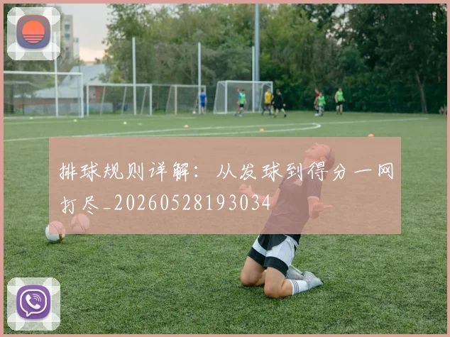 排球规则详解：从发球到得分一网打尽_20260528193034